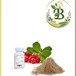 آلفا آربوتین انگور خرس از 5 درصد تا 20 درصد