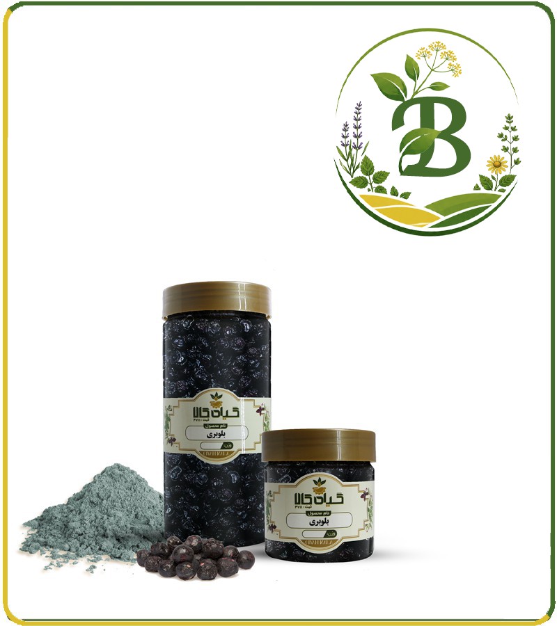 blue-berry.jpg میوه بلوبری خشک یا پودری بسته بندی - تصویر 1