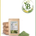 پودر خیار فله