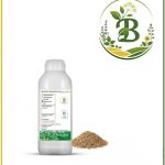 اسانس زنیان طبیعی