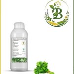 افشره گشنیز طبیعی مایع
