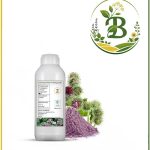 روغن بابا آدم(فیلگوش)