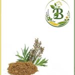 عصاره درمنه خشک (پودری)