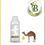 روغن کوهان شتر