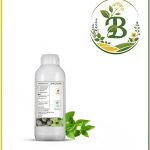 روغن ریحان