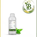 روغن نعنا